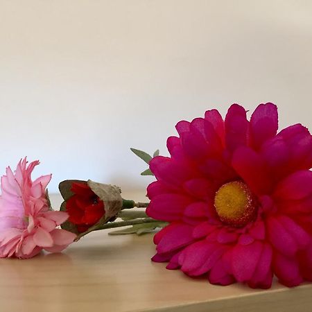 카스테요 뎀푸리에스 Apartament Can Callis 아파트 외부 사진