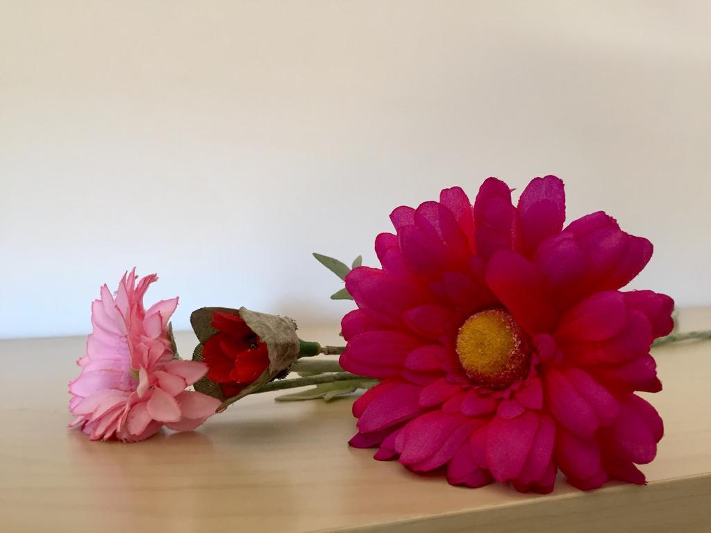 카스테요 뎀푸리에스 Apartament Can Callis 아파트 외부 사진